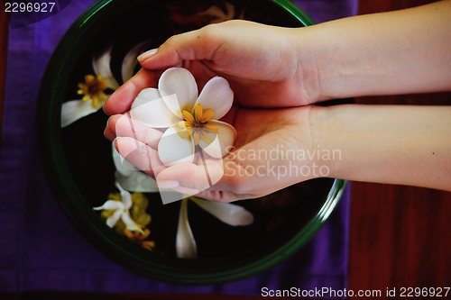 Image of female hand and flower in water