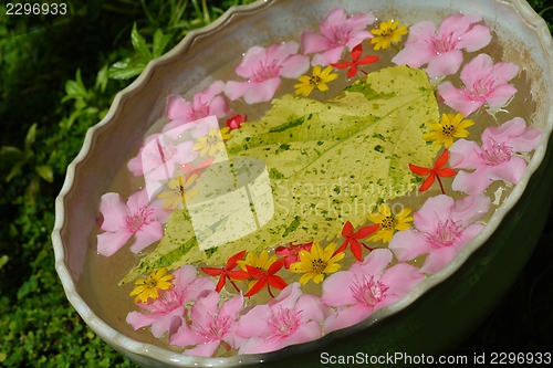 Image of water cup with beautiful flowers background