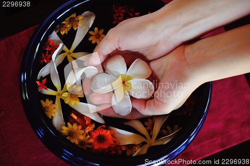 Image of female hand and flower in water