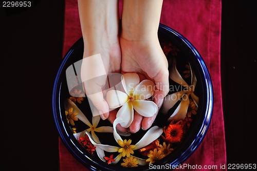 Image of female hand and flower in water