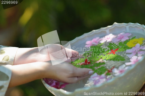 Image of female hand and flower in water