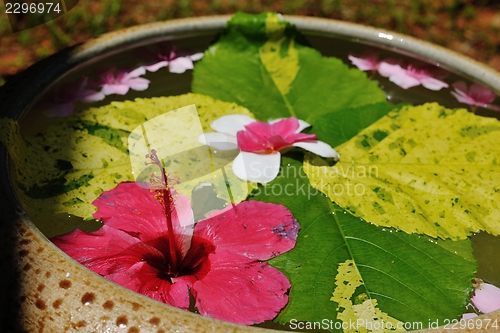 Image of water cup with beautiful flowers background