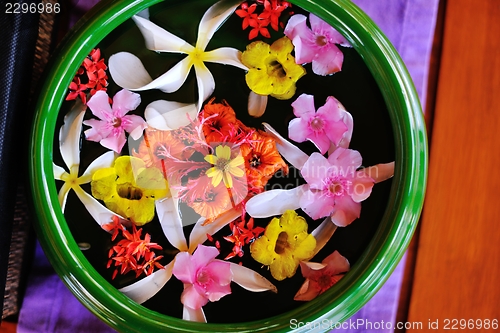 Image of water cup with beautiful flowers background