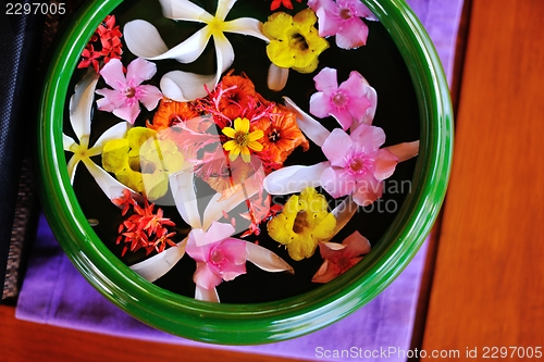 Image of water cup with beautiful flowers background