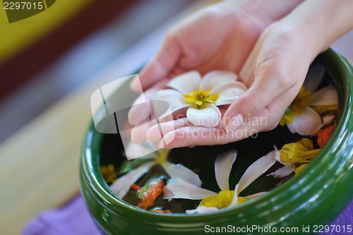 Image of female hand and flower in water