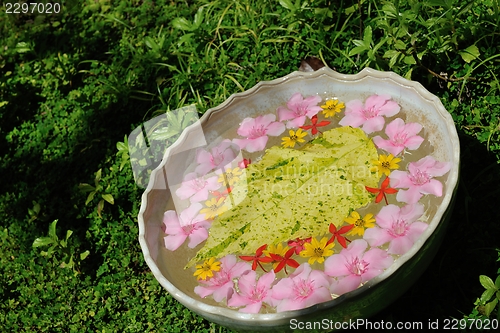 Image of water cup with beautiful flowers background