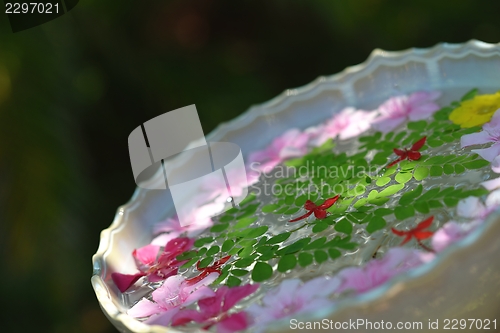 Image of water cup with beautiful flowers background