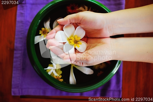 Image of female hand and flower in water