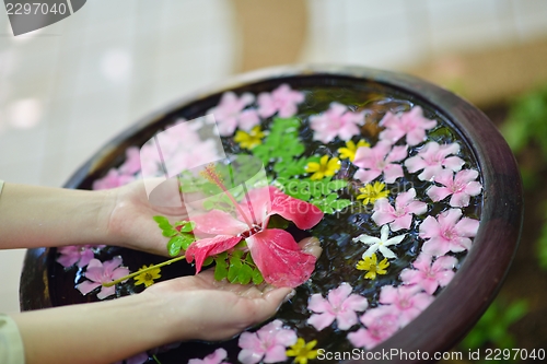 Image of female hand and flower in water