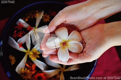 Image of female hand and flower in water