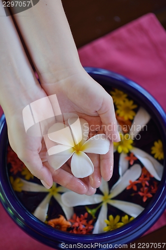 Image of female hand and flower in water