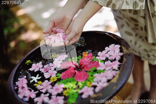 Image of female hand and flower in water