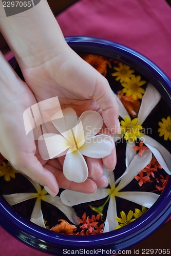 Image of female hand and flower in water