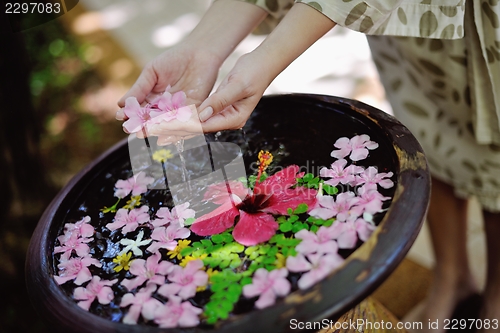 Image of female hand and flower in water