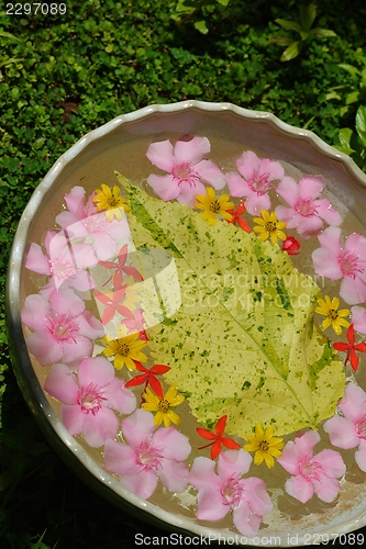 Image of water cup with beautiful flowers background