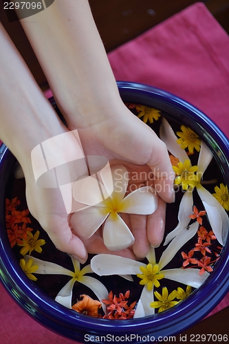 Image of female hand and flower in water