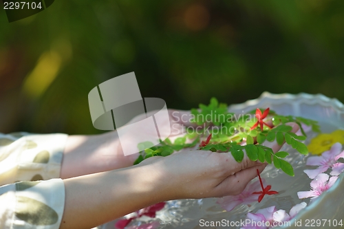 Image of female hand and flower in water