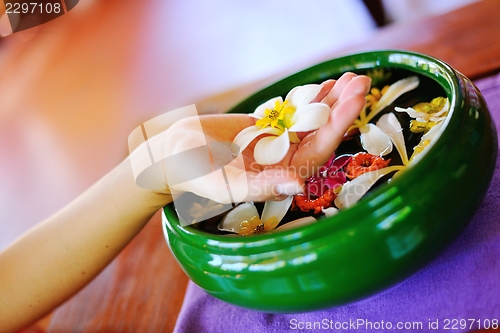 Image of female hand and flower in water