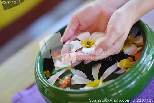 Image of female hand and flower in water