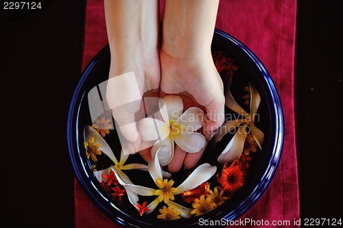 Image of female hand and flower in water