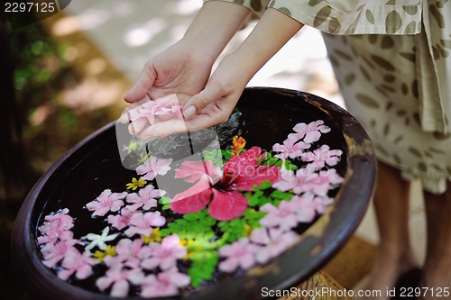 Image of female hand and flower in water