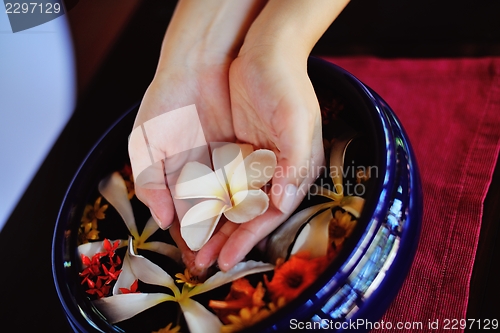 Image of female hand and flower in water