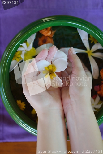 Image of female hand and flower in water