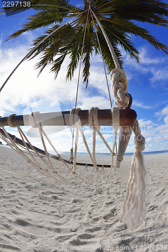 Image of tropical beach