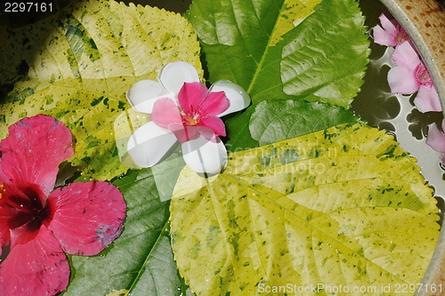 Image of water cup with beautiful flowers background