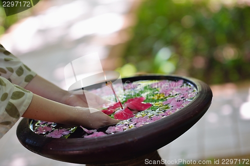 Image of female hand and flower in water