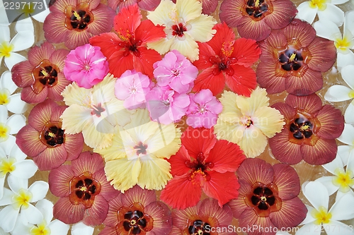 Image of water cup with beautiful flowers background