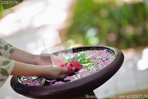 Image of female hand and flower in water