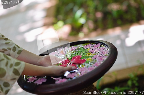 Image of female hand and flower in water