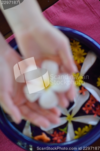 Image of female hand and flower in water