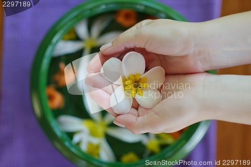 Image of female hand and flower in water