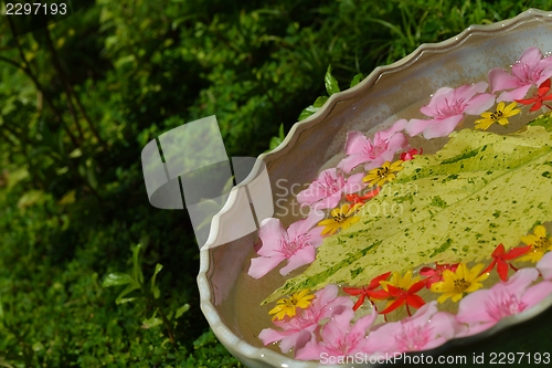 Image of water cup with beautiful flowers background