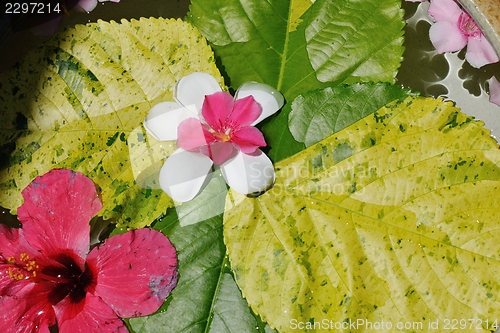 Image of water cup with beautiful flowers background