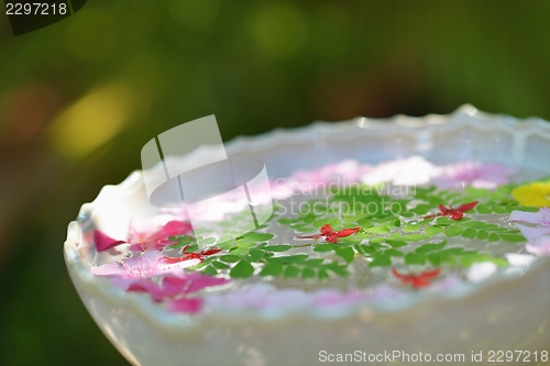 Image of water cup with beautiful flowers background