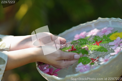 Image of female hand and flower in water