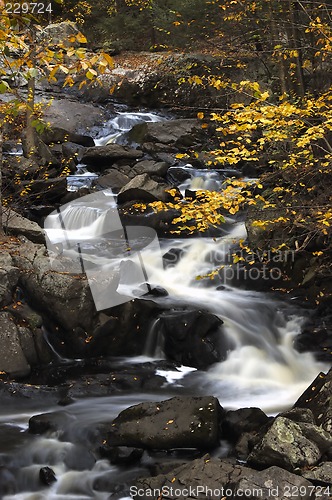 Image of Fall Stream
