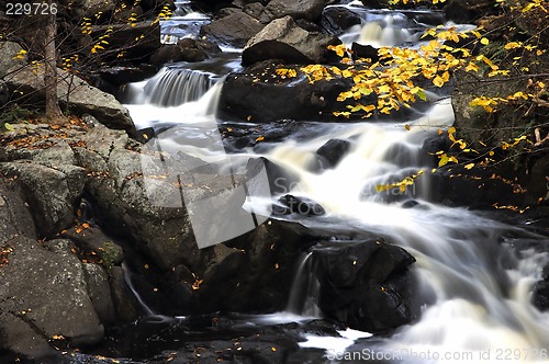 Image of Fall Stream