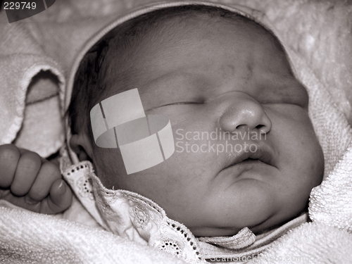 Image of newborn, portrait