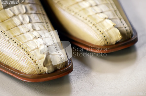 Image of Crocoodile Shoes
