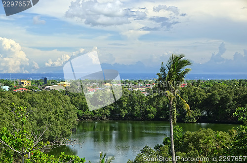 Image of Mangrove Trees and Lagoon