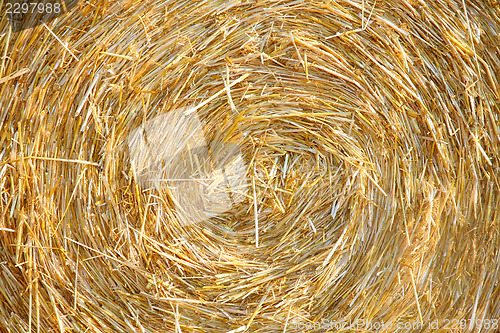 Image of Detials close up shot of Wheat Haystack in farmer field