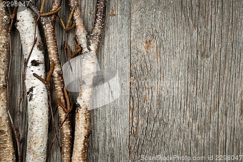 Image of Birch branches background