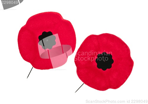 Image of Remembrance Day poppies