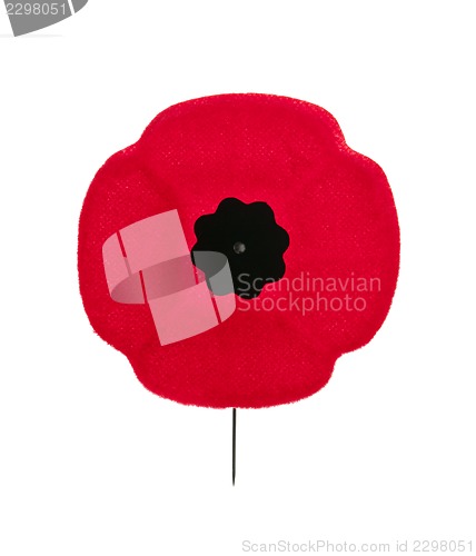 Image of Remembrance Day poppy