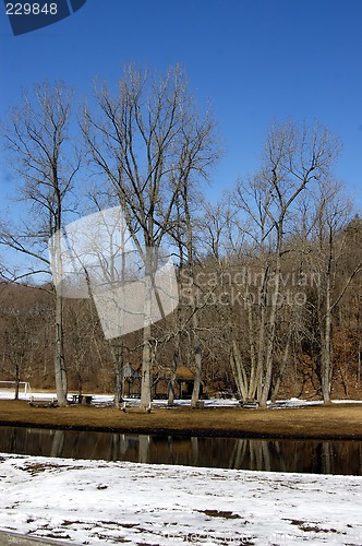 Image of Forest in snow