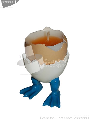 Image of Egg on white